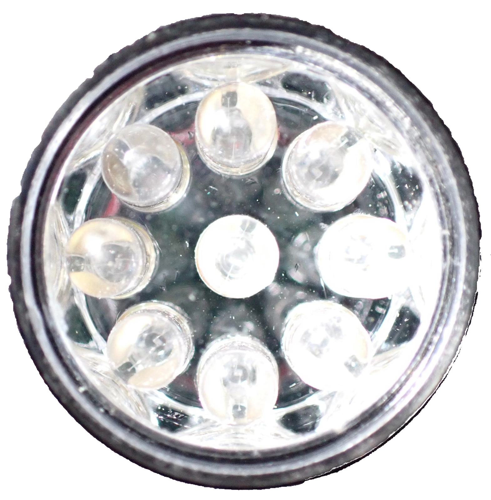 Dogbox Ultra Violet Torch 4 Dogbox Ultra Violet Torch - Image 2